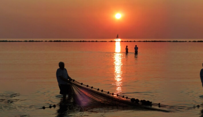 Reenactment of the ancient "tratta" fishing