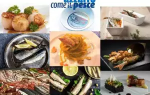 Offerta Azzurro come il pesce a Cesenatico
