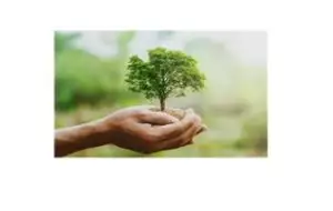 Special Offer for Ecomonod 2025 - Rimini Fair