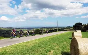 Novecolli: dossard + hôtel