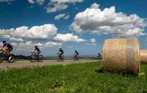 Novecolli: race number + hotel