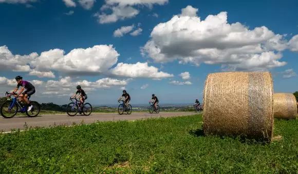 Novecolli: race number + hotel