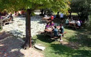 September: Food & Wine Bike Experience