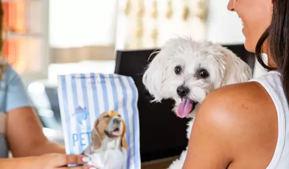 Il tuo AMICO PELOSO in vacanza con te