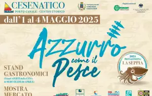 Azzurro come il pesce in B&B