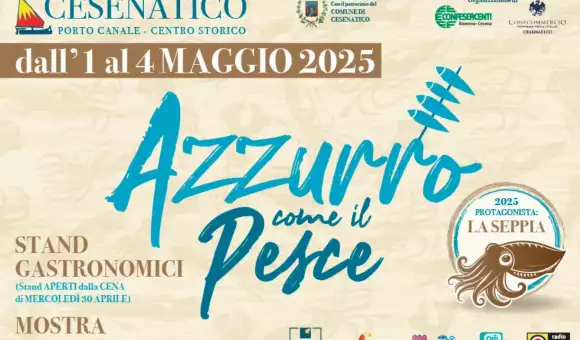 Azzurro come il pesce in B&B