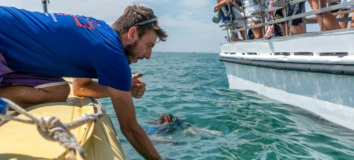 Blue Schools – Dalla cura alla libertà: biodiversità marina in azione