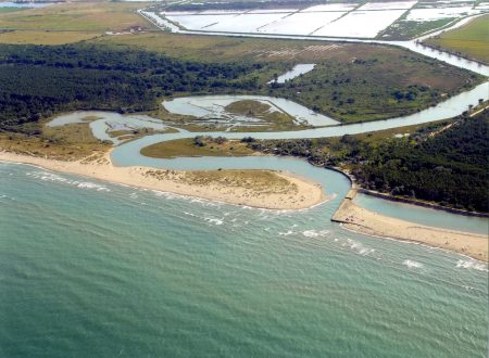 “Biodiversità marina: una ricchezza da conoscere e proteggere”