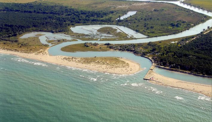 “Biodiversità marina: una ricchezza da conoscere e proteggere”