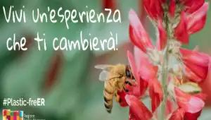 Oasi Gregorina affiliata WWF